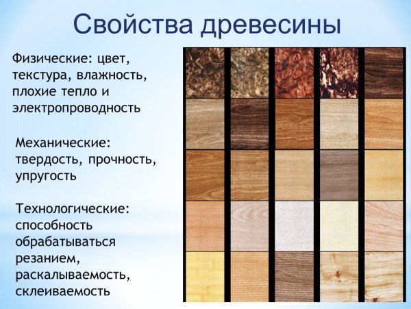 Свойства древесины
