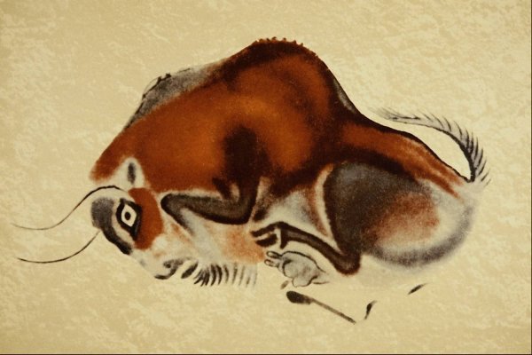 Наскальная живопись Бизон пещера Альтамира