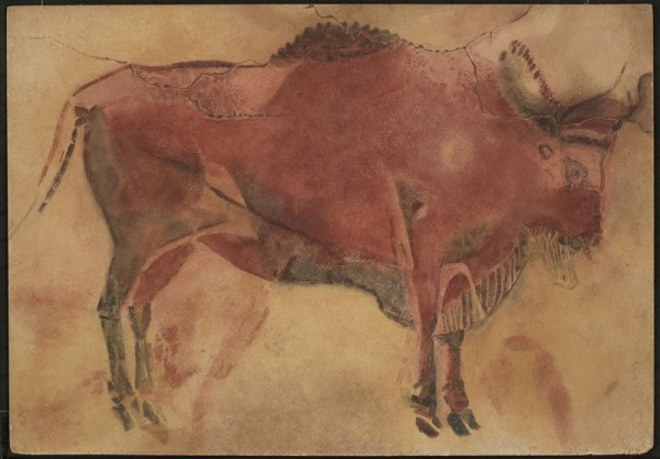 Самка бизона Альтамира