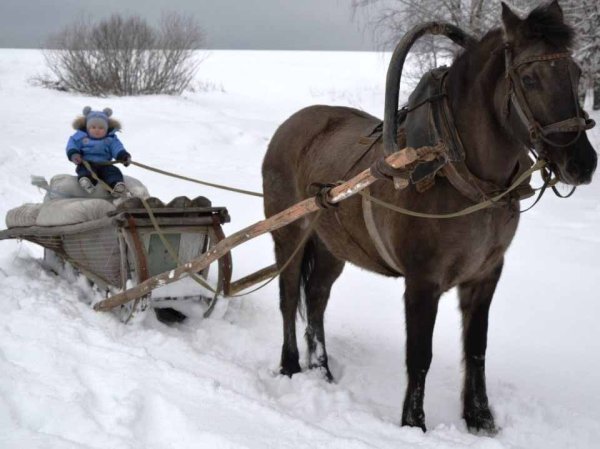 Сани крестьянина