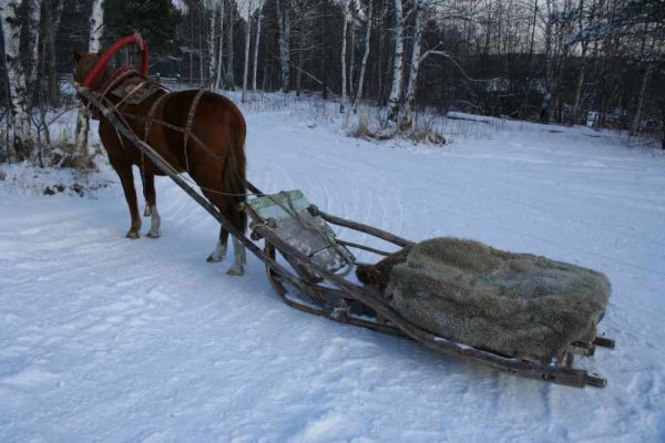 Сани дровни розвальни