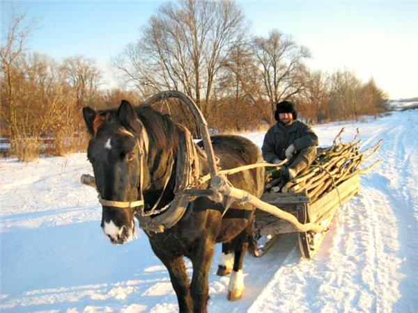 Дровни и розвальни