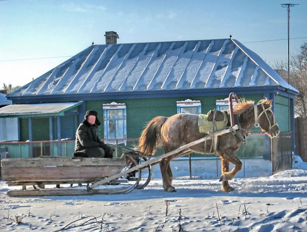 Лошадь с санями в деревне