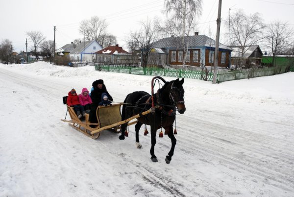 Русские сани для лошади