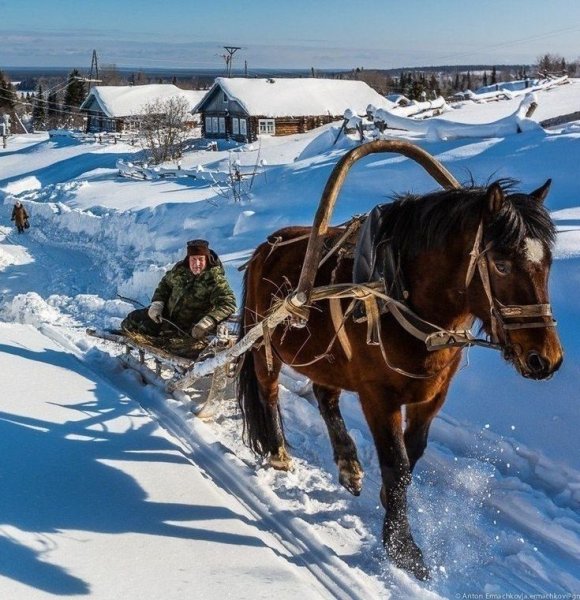 Сани дровни 19 века