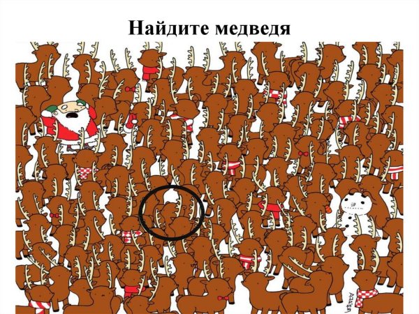 Тест на внимательность в картинках
