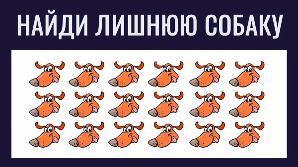 Головоломки Найди на картинке