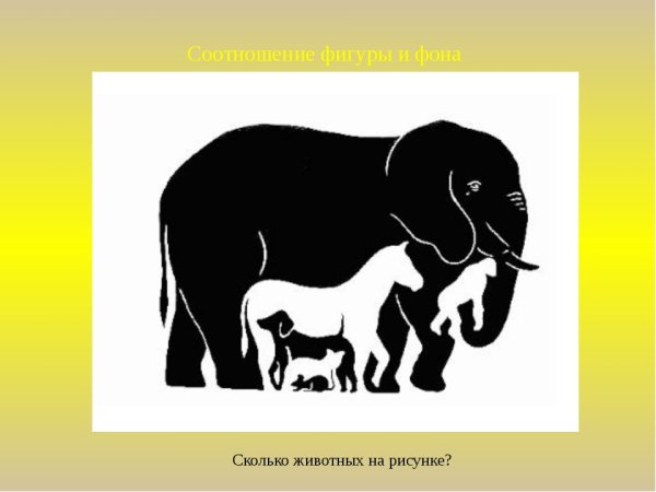 Головоломка Найди кота среди голубей