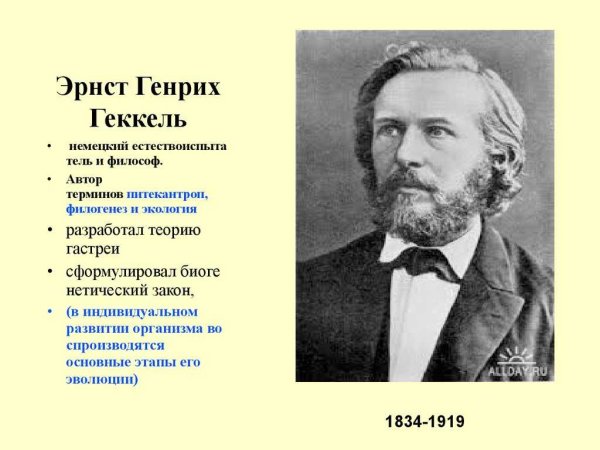 Эрнст Геккель (1834-1919)