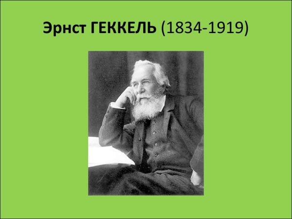 Биолог Эрнст Геккель
