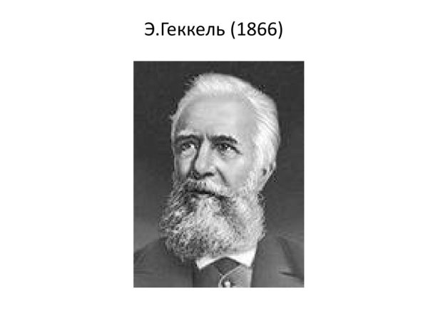 Эрнст Геккель экология год