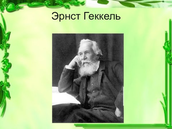 Эрнст Генрих Геккель зоолог