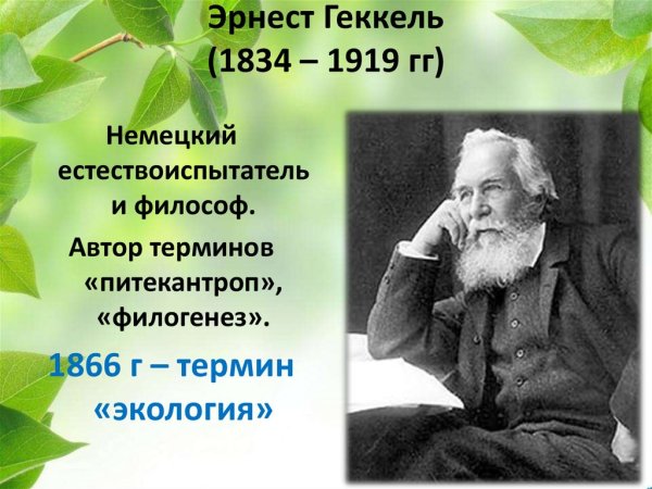 Ernst Haeckel книга