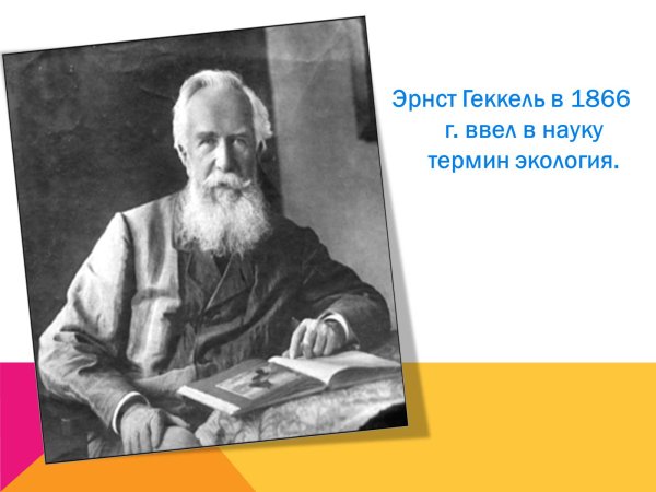 Медуза Эрнст Геккель