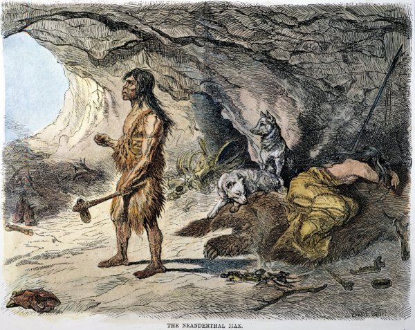 Торфяная собака каменного века