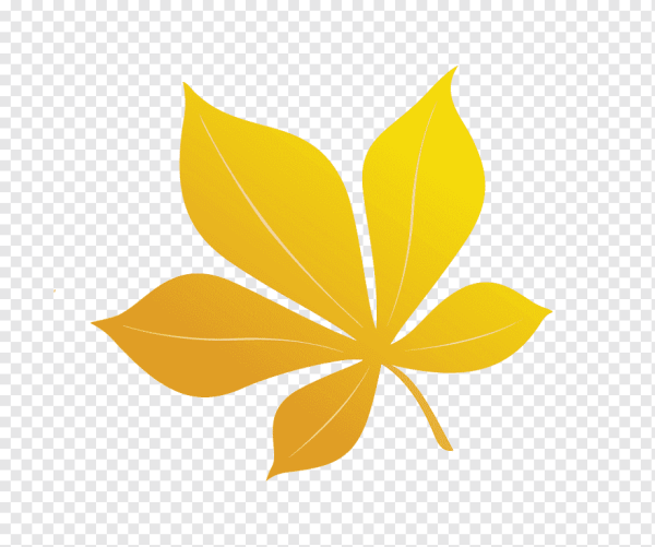 Лист каштана