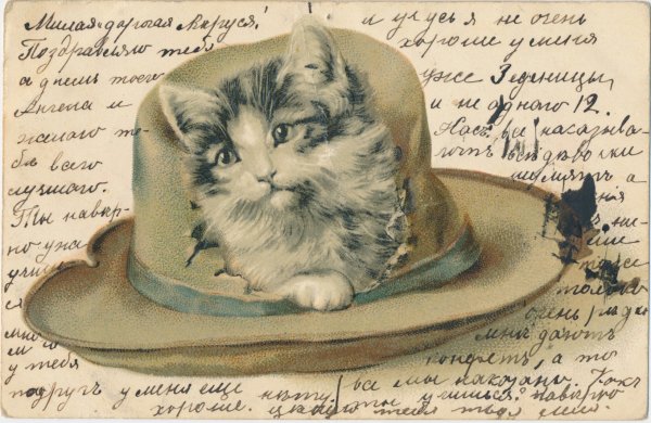 Котенок в шляпе рисунок