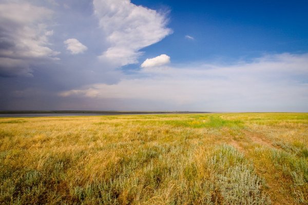 Степная зона Ростовской области