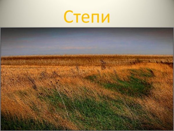 Степь природная зона