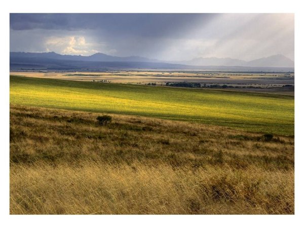 Степная зона Красноярского края