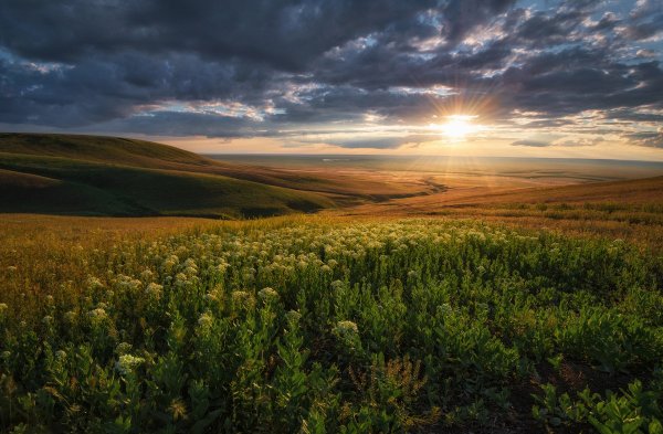 Шарчинская степь