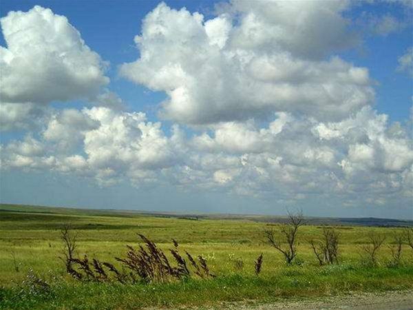 Природные зоны России степь