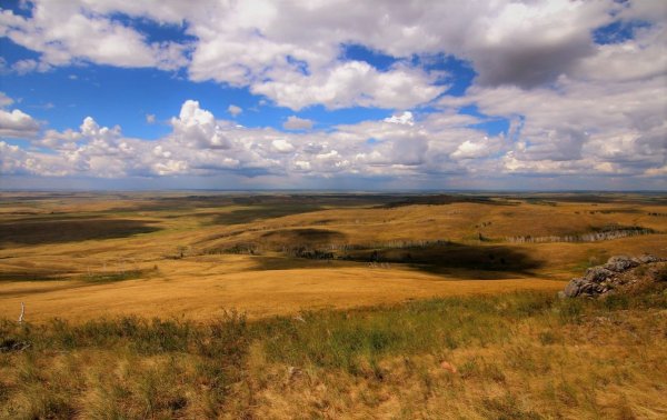 Провальская степь (Ростовская область)