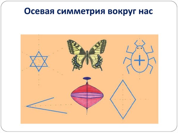 Симметрия вокруг нас