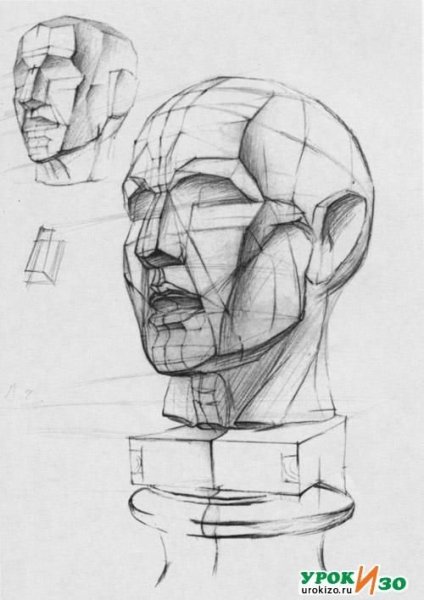 Гудон Экорше этапы рисования головы