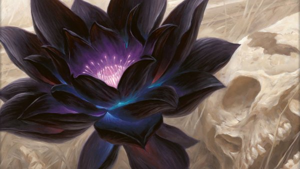 Black Lotus MTG