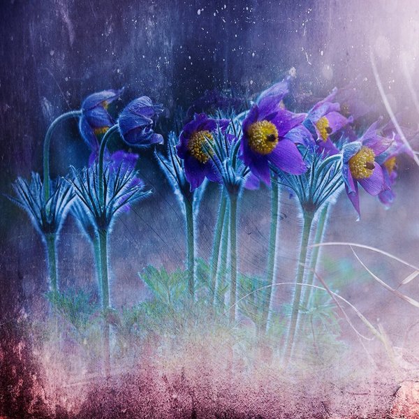 Кристин Эллджер (Christine Ellger)