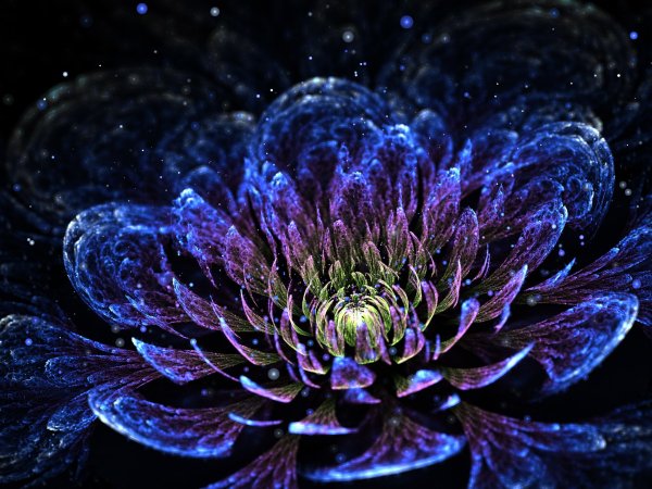 Magic Flower
