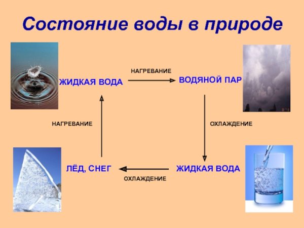 Жидкое состояние воды