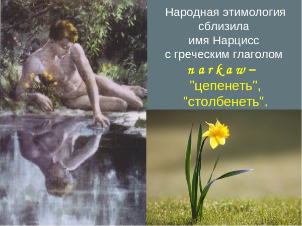 Нарцисс и Эхо миф