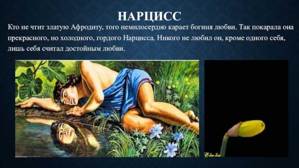 Нарциссический характер