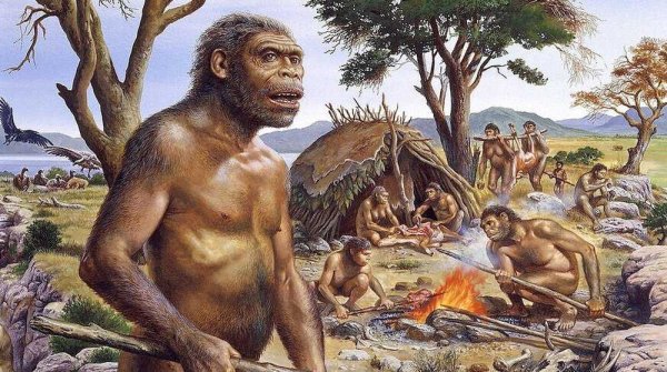 Архантропы (homo Erectus)