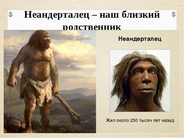 Древний человек неандерталец