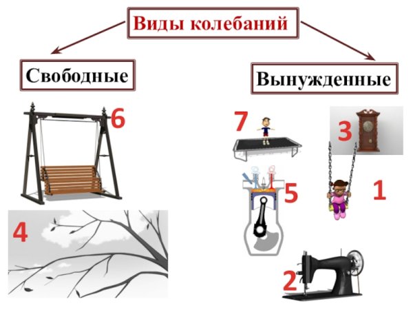 Свободные и вынужденные колебания
