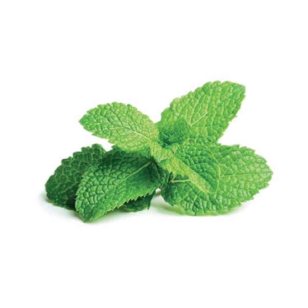 Mentha piperita (Peppermint) Leaf extract