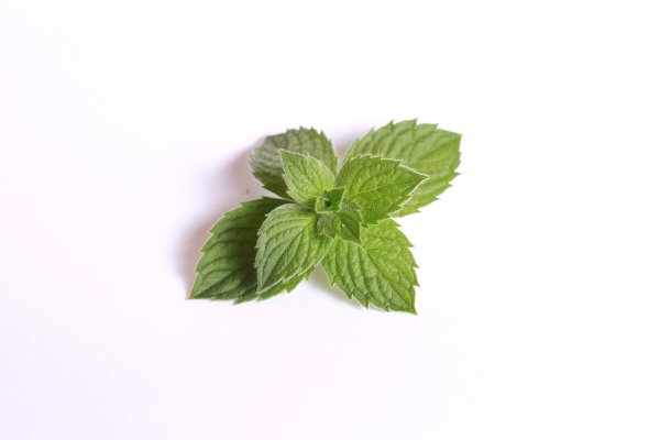 Мята Hugo Mint