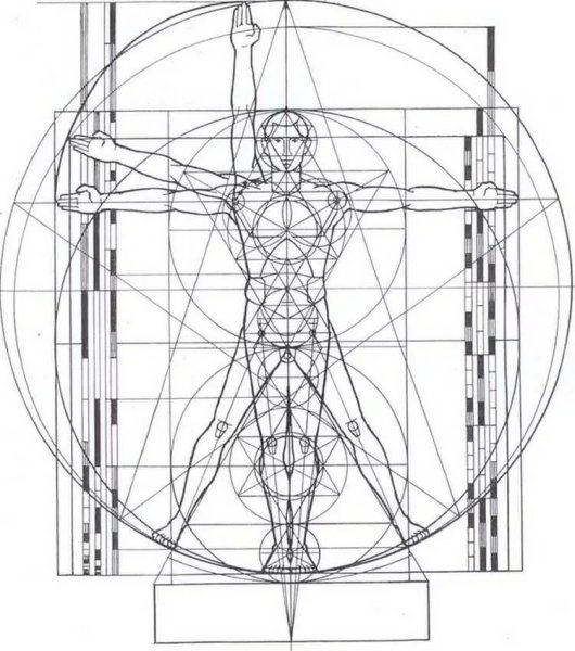 Vitruvian man Леонардо да Винчи