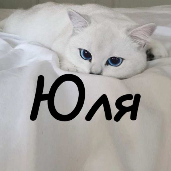 Юля надпись