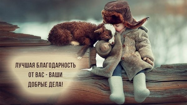 Верю в добро и добрых людей