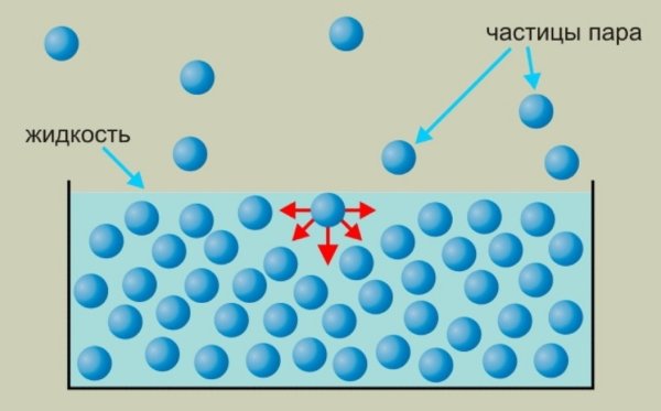 Поверхностное натяжение