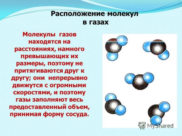 Строения молекулы газа физика