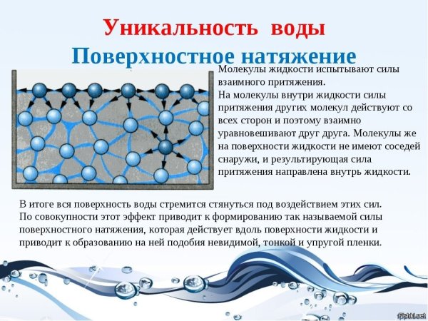 Свойство воды поверхностное натяжение