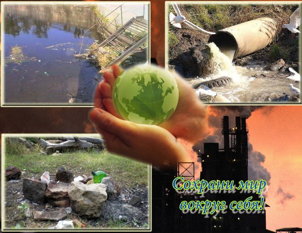 Экологическая безопасность