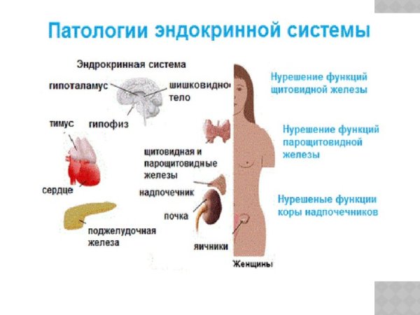 Причины нарушений желез внутренней секреции.