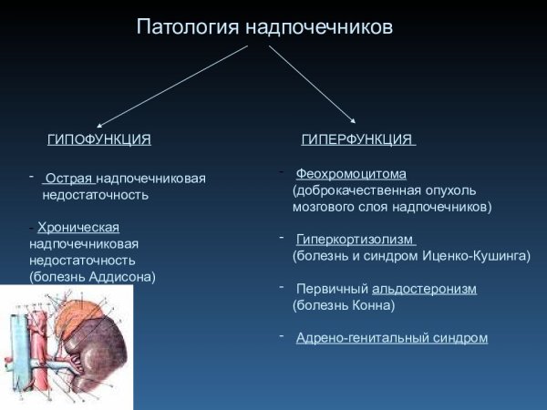 Гормоны надпочечников гипо