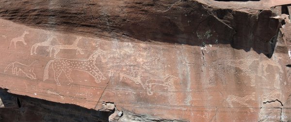 Сундуки Хакасия петроглифы